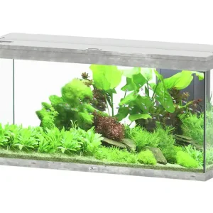 Jetzt Bestellen aquatlantis Splendid Ultra 240 Steinoptik Aquarium